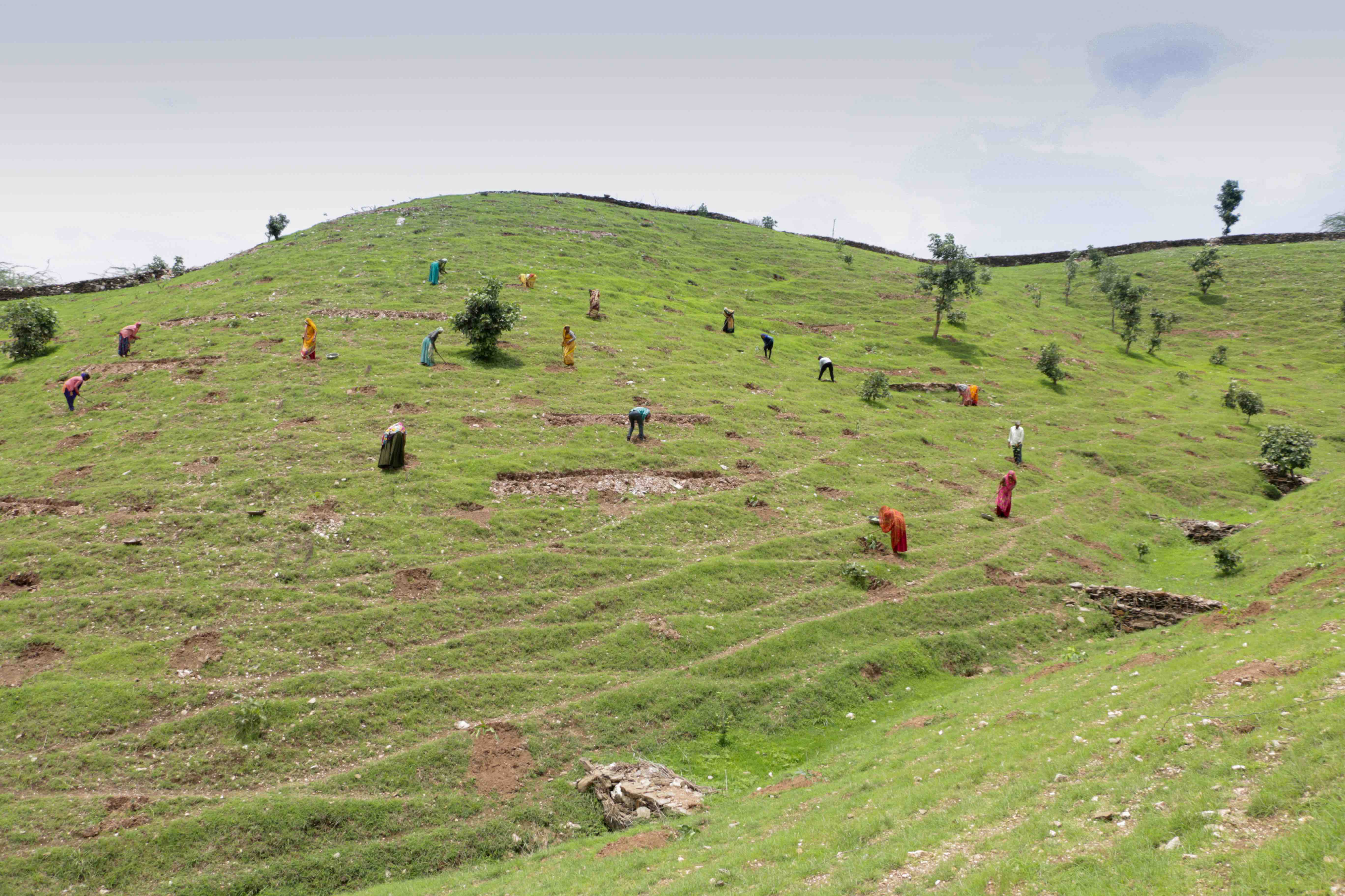 A community come together to rejuvenate their common land.